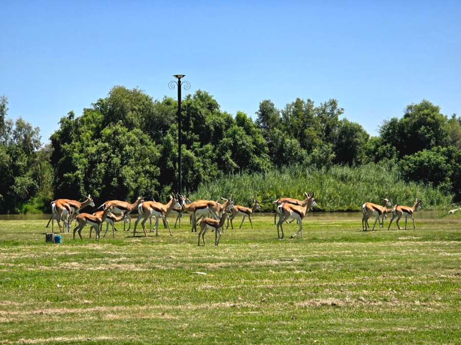 Commercial Property for Sale in Keimoes Rural Northern Cape